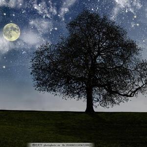 欧美淫荡老熟女
